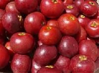 Kokum