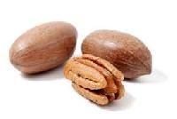 Pecan Nut