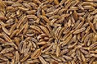 Caraway Seed