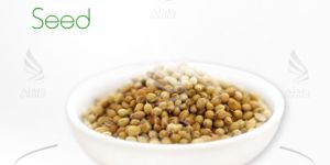 Coriander Seed