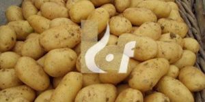 Chipsona-I Potatoes