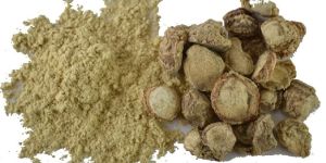 Kapur Kachri Powder