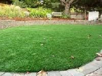 Artificial Lawn
