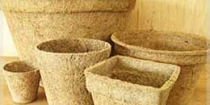 Fibre Pots