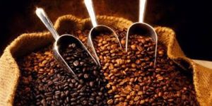 Roasted Ground Coffee