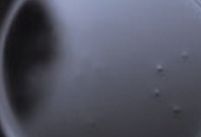 Roasted Chicory Extract