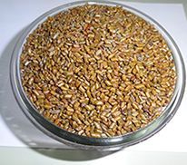 Cassia Tora Seed