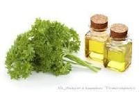 Parsley Oil