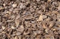 Good Quality Palm Kernel Shell