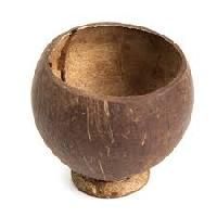 Coconut Shell Cups