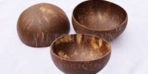 Coconut Shell Bowls