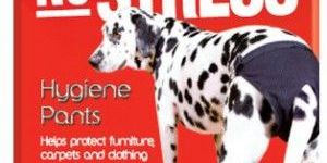 Interpet Mikki Hygiene Pants