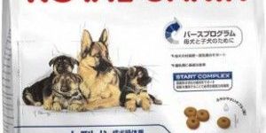 Royal Canin Maxi Starter, 4 Kg