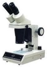 Stereo Microscope