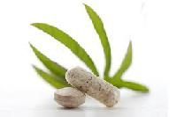 Cissus Quadrangularis Extract