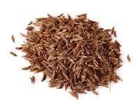 Caraway Oil