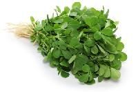 Fenugreek Extract