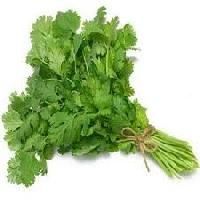 Parsley Seed Oil