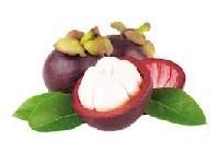 Mangosteen Extract