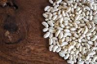 White Kidney Bean Extract