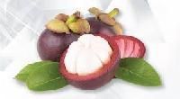 Mangosteen Extract