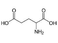 Glutamic Acid