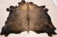 Buffalo Hides