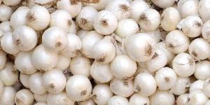 Silverskin Onions