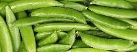 Field Fresh Snow Peas