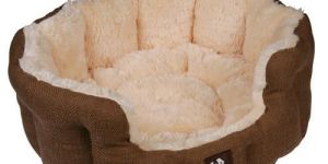 Dog Beds