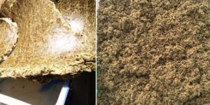 Cotton Seed Oil Cake