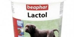 Beaphar Lactol Puppy Milk