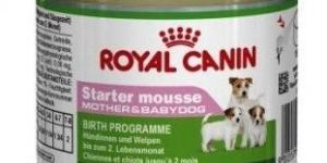 Royal Canin Starter Mousse Tin