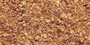 Cotton Seed Extraction Meal