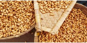 Groundnut Extraction Meal