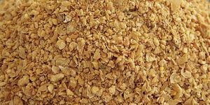 Rapeseed Extraction Meal