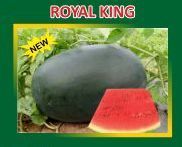 Royal King Hybrid Watermelon Seeds
