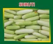 Shruti Hybrid Cucumber Seeds