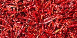 Dried Red Chilli