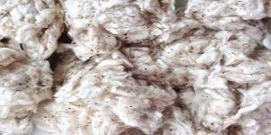 Cotton Carding Machine