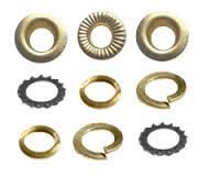 Brass Spring Washers