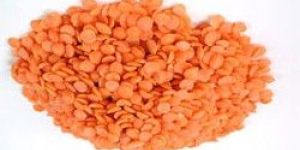 Masoor Dal Unpolished