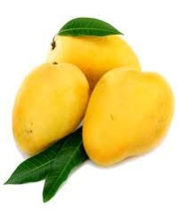 Kesar Mango