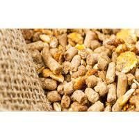 Animal Nutrition Supplements