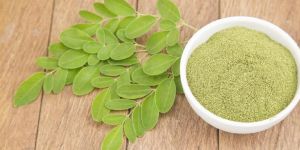 Moringa Powder