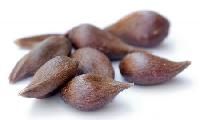 Apple Seeds