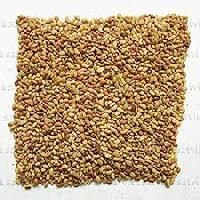Alfalfa Seeds