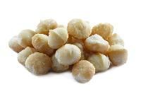 Macadamia Nut