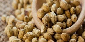 Coriander Seeds