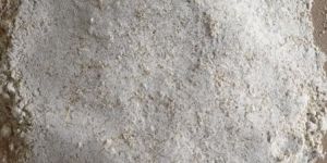 Barley Cattle Feed Powder